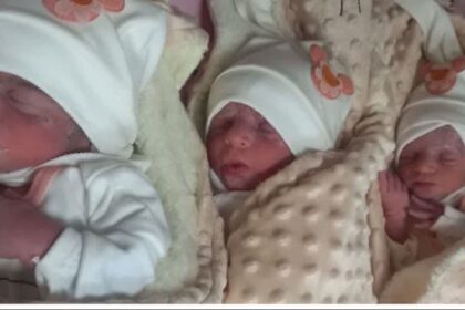 تولد سه قلو در کاشمر