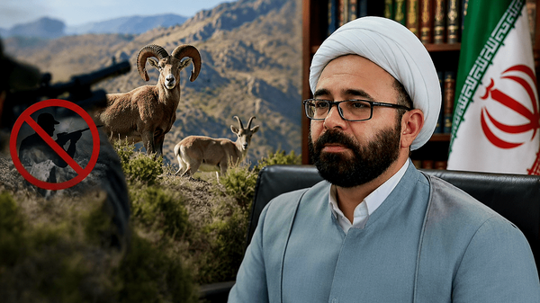 دادستان کاشمر
